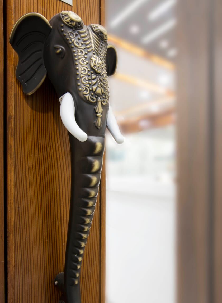 Close-up of the black-and-brass elephant-head handle on the clinic's wooden door